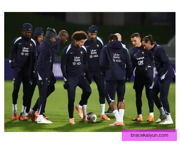 德尚球队结构分析：法国队在2023年表现稳健，期待继续成长