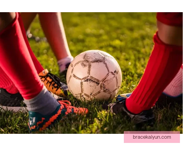 德甲转会窗口分析:各俱乐部动态与战力重新调整趋势 德甲转会窗口分析:各俱乐部动态与战力重新调整趋势